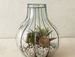 Terrain Terrarium, Terrarium
Garden Design
Calimesa, CA