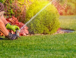 Test Watering Systems	
Garden Design
Calimesa, CA