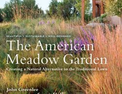 The American Meadow Garden
Garden Design
Calimesa, CA
