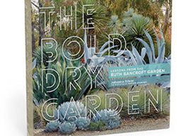 The Bold Dry Garden
Garden Design
Calimesa, CA