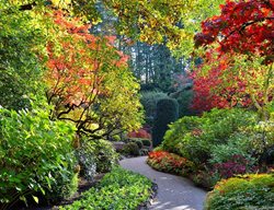 The Butchart Gardens
Brentwood Bay, BC