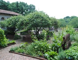 The Cloisters Garden, Ny
Garden Design
Calimesa, CA
