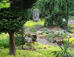 The Head Made Of Stone
Garden Design
Calimesa, CA