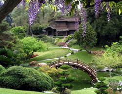 The Huntington, Japanese Garden
Garden Design
Calimesa, CA
