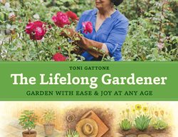 The Lifelong Gardener Book
Garden Design
Calimesa, CA