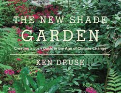 The New Shade Garden
Garden Design
Calimesa, CA