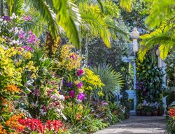 The Orchid Show
Garden Design
Calimesa, CA