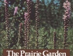 The Prairie Garden
Garden Design
Calimesa, CA