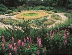 The Round Garden
Garden Design
Calimesa, CA