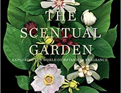 The Scentual Garden, Book
Garden Design
Calimesa, CA