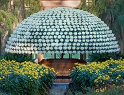 The Thousand Bloom 
Garden Design
Calimesa, CA