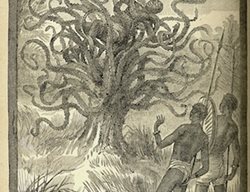 The_ya-Te-Veo
Garden Design
Calimesa, CA