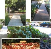 Thorton Gardens
Garden Design
Calimesa, CA