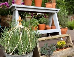 Tiered Herb Plant Stand
Garden Design
Calimesa, CA