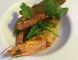 Tiger Shrimp
Garden Design
Calimesa, CA