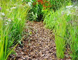 Top Dress Your Garden With Mulch, Gravel, Or Stone
Garden Design
Calimesa, CA