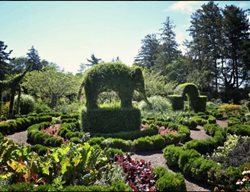 Topiary Garden, Rhode Island
Garden Design
Calimesa, CA