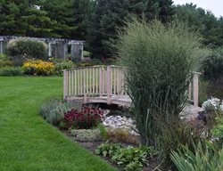 Totem Pole Switchgrass, Native Grass
Proven Winners
Sycamore, IL