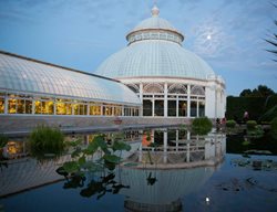 Tour Gardens Under Glass
Garden Design
Calimesa, CA