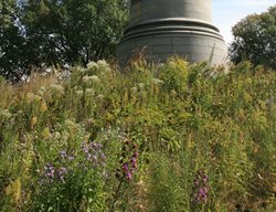 Tour Tower Hill Botanic Garden In Boylston
Garden Design
Calimesa, CA