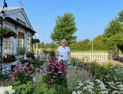 Tracey Hiebert
Garden Design
Calimesa, CA