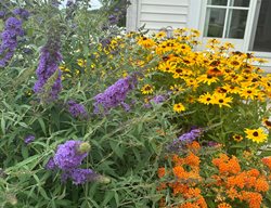 Tracy'sbutterflygarden
Garden Design
Calimesa, CA
