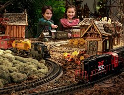 Train Show
Garden Design
Calimesa, CA