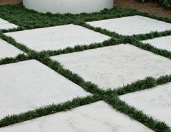 Travertine Paver
Peacock Pavers
Atmore, AL