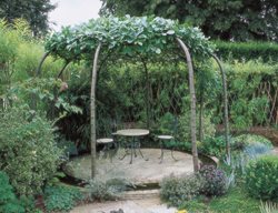 Tree Arbor, Living Arbor
Garden Design
Calimesa, CA