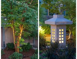 Tree Lighting And Stone Lantern
Barbara Hilty Landscape Design LLC
Portland, OR
