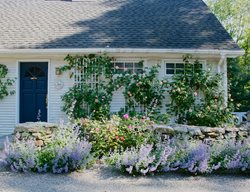 Trellises With Climbing Roses
Garden Design
Calimesa, CA