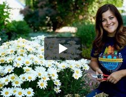 Trimming Perennials In Summer
Garden Design
Calimesa, CA