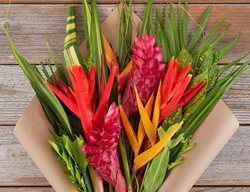Tropical Bouquet
Garden Design
Calimesa, CA