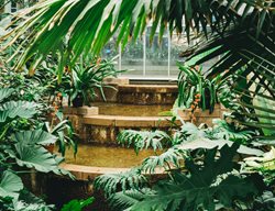 Tropical Garden, Water Feature
Unsplash
