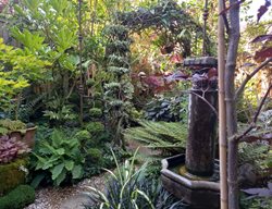 Tropical Style Garden With Arbor
Garden Design
Calimesa, CA