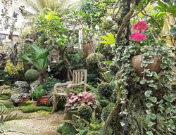 Tropical Style Garden With Chair
Garden Design
Calimesa, CA