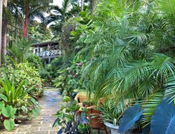 Tropical Symphony
Garden Design
Calimesa, CA