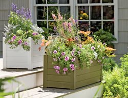 Trough, Planter
Gardener's Supply Company
Burlington, VT