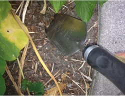 Trowel 
Garden Design
Calimesa, CA