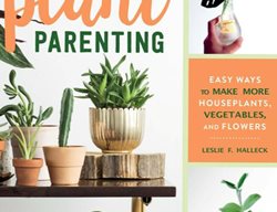 Try Your Hand At Plant Propagation
Garden Design
Calimesa, CA