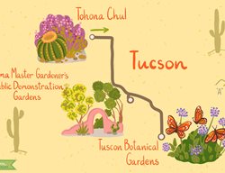 Tucson, Az
Garden Design
Calimesa, CA