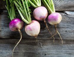 Turnips, White And Purple Vegetable, Root Vegetable
Shutterstock.com
New York, NY