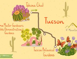 Tuscon, Gardens
Garden Design
Calimesa, CA