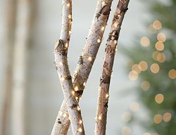 Twinkle Lights, Wire Lights
Crate & Barrel
