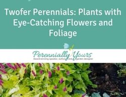 Twofer Perennials Course
Perennially Yours
PA