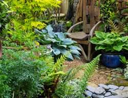 Uk Garden With Water Feature
Garden Design
Calimesa, CA