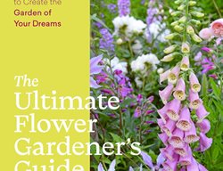 Ultimater Flower Gardeners Guide
Garden Design
Calimesa, CA