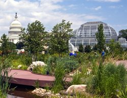 United States Botanic Garden
Garden Design
Calimesa, CA