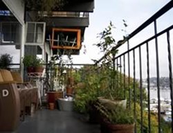 Urban Gardening 
Garden Design
Calimesa, CA