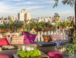 Urban Patio With Bright Pillows
Proven Winners
Sycamore, IL